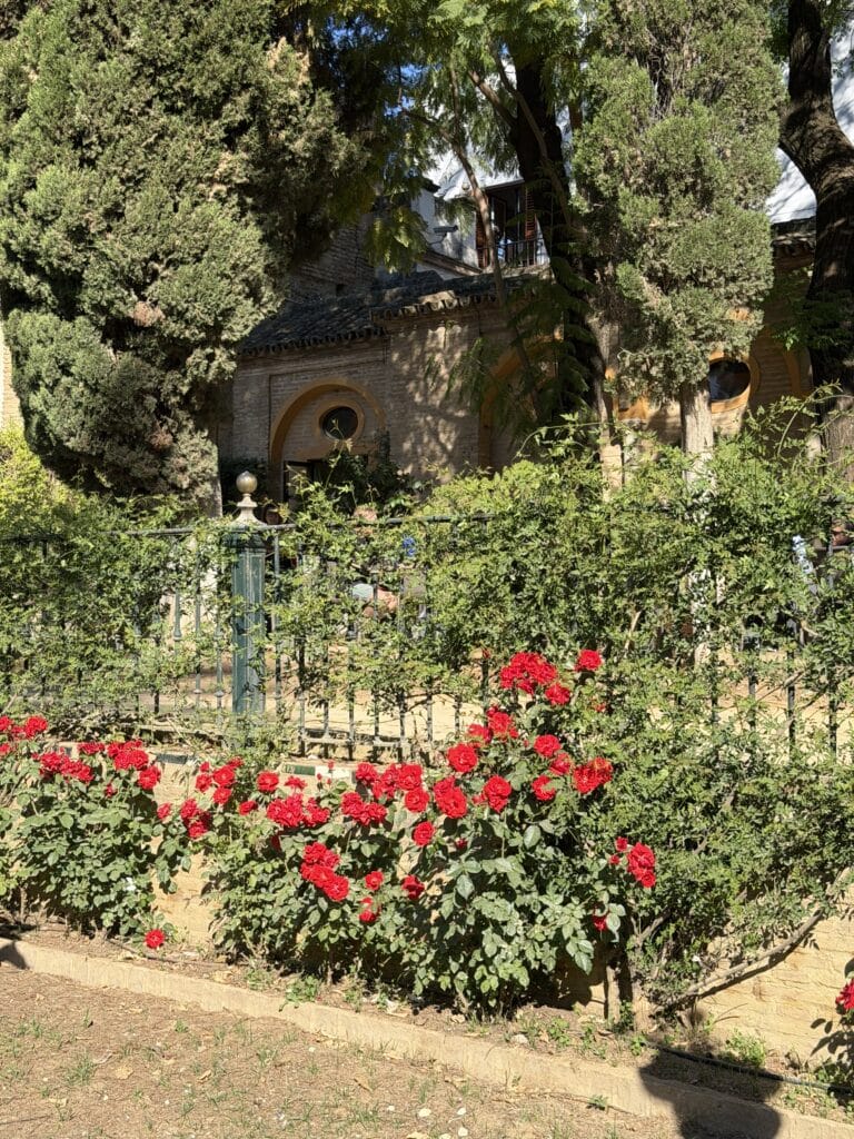 Spring in Seville